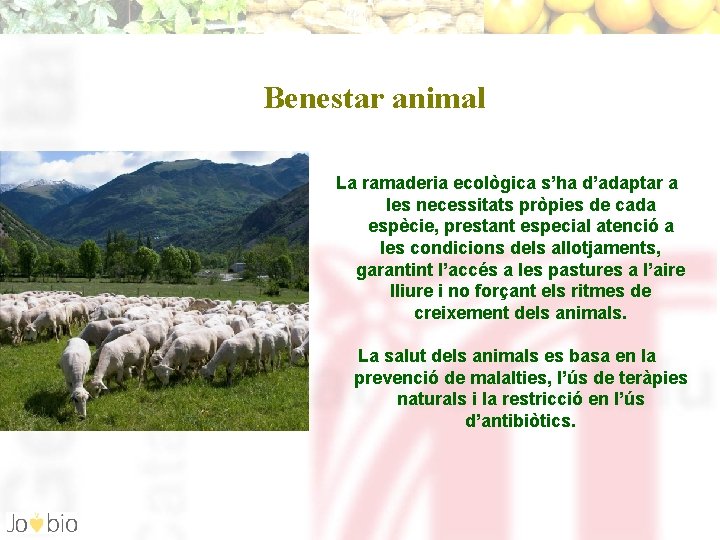 Benestar animal La ramaderia ecològica s’ha d’adaptar a les necessitats pròpies de cada espècie,