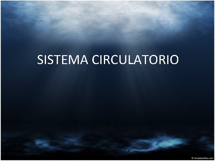 SISTEMA CIRCULATORIO 