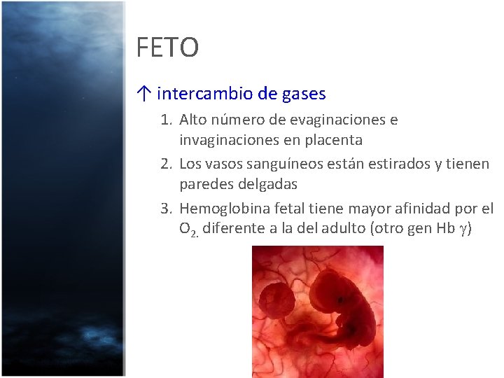 FETO ↑ intercambio de gases 1. Alto número de evaginaciones e invaginaciones en placenta