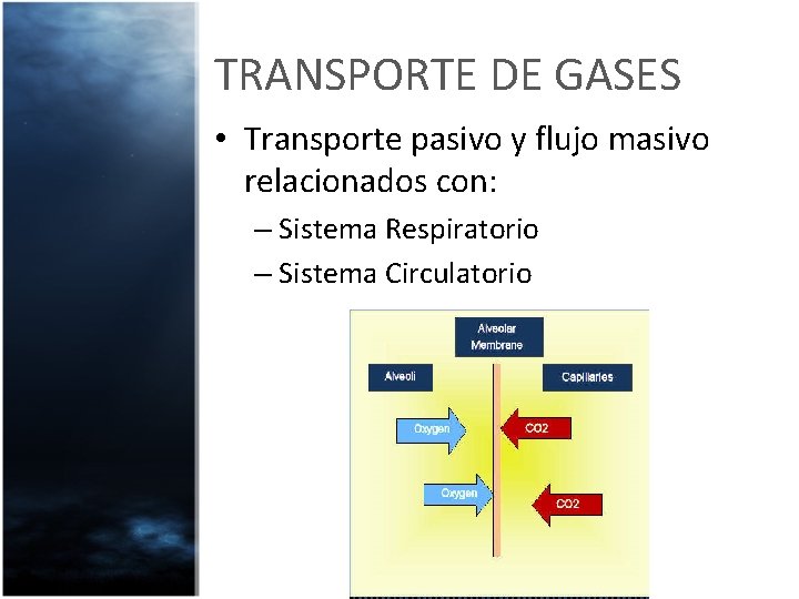 TRANSPORTE DE GASES • Transporte pasivo y flujo masivo relacionados con: – Sistema Respiratorio