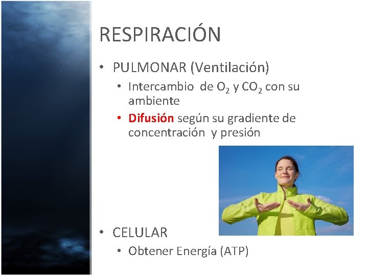 RESPIRACIÓN • PULMONAR (Ventilación) • Intercambio de O 2 y CO 2 con su