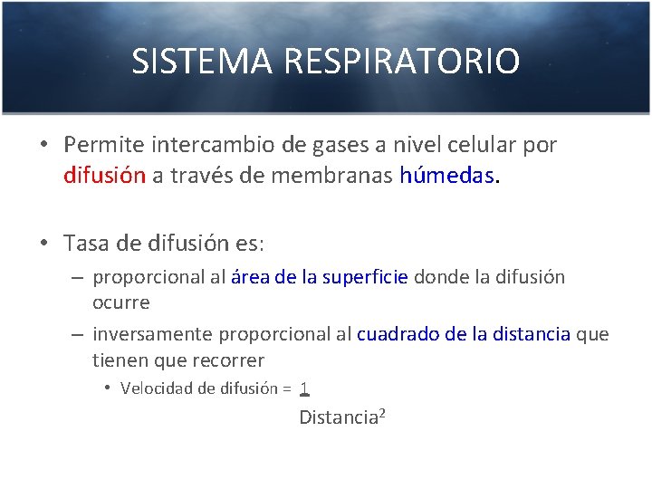 SISTEMA RESPIRATORIO • Permite intercambio de gases a nivel celular por difusión a través
