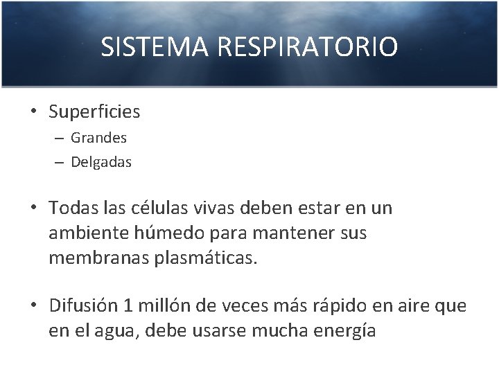 SISTEMA RESPIRATORIO • Superficies – Grandes – Delgadas • Todas las células vivas deben