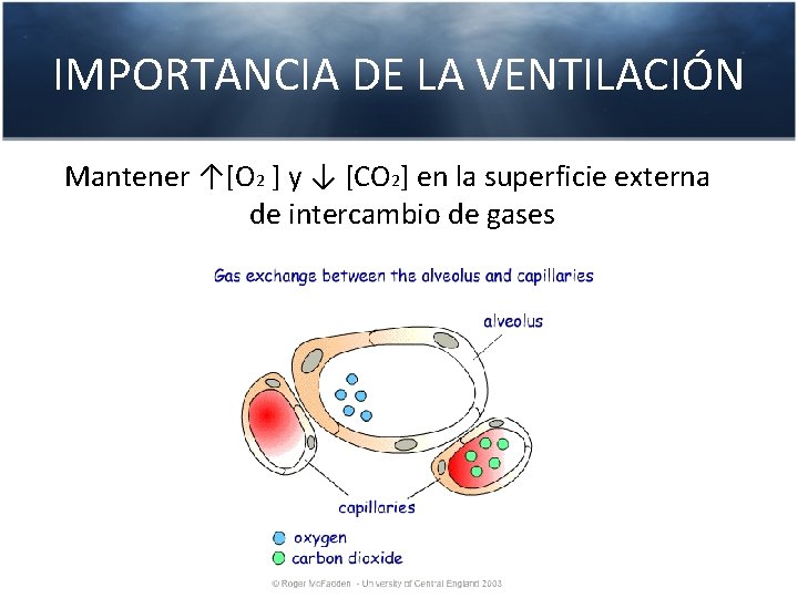 IMPORTANCIA DE LA VENTILACIÓN Mantener ↑[O 2 ] y ↓ [CO 2] en la