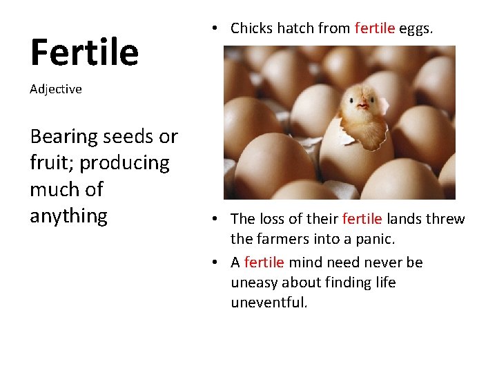 Fertile • Chicks hatch from fertile eggs. Adjective Bearing seeds or fruit; producing much