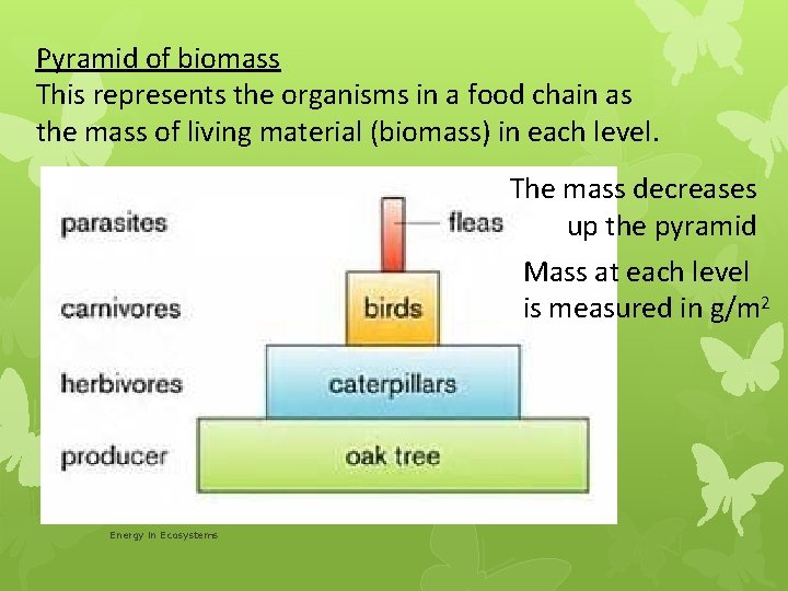 Pyramid of biomass This represents the organisms in a food chain as the mass