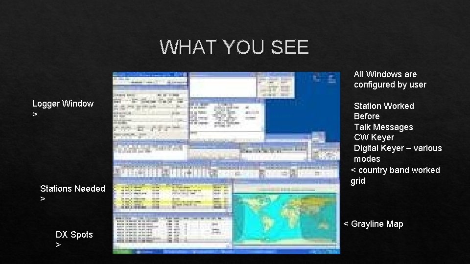 WHAT YOU SEE All Windows are configured by user Logger Window > Stations Needed