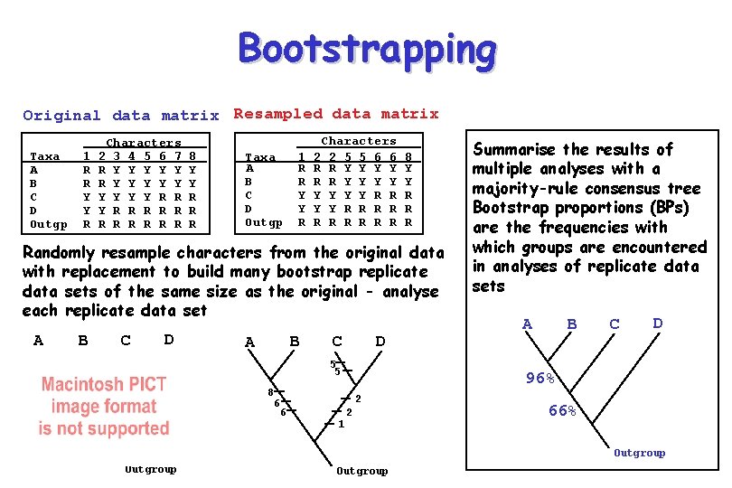 Bootstrapping Original data matrix Resampled data matrix Taxa A B C D Outgp 1