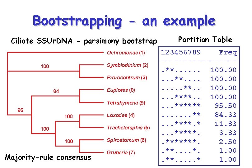 Bootstrapping - an example Ciliate SSUr. DNA - parsimony bootstrap Ochromonas (1) Symbiodinium (2)