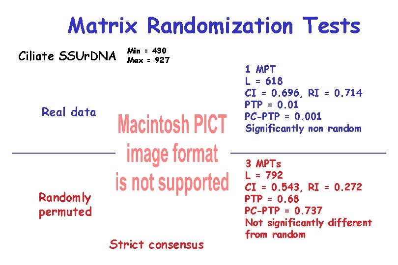 Matrix Randomization Tests Ciliate SSUr. DNA Min = 430 Max = 927 Real data