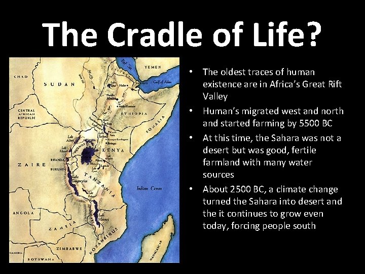 The Cradle of Life? • The oldest traces of human existence are in Africa’s