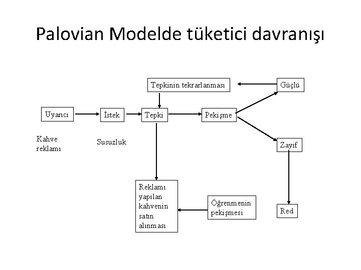 Palovian Modelde tüketici davranışı Tepkinin tekrarlanması Uyarıcı Kahve reklamı İstek Tepki Güçlü Pekişme Susuzluk