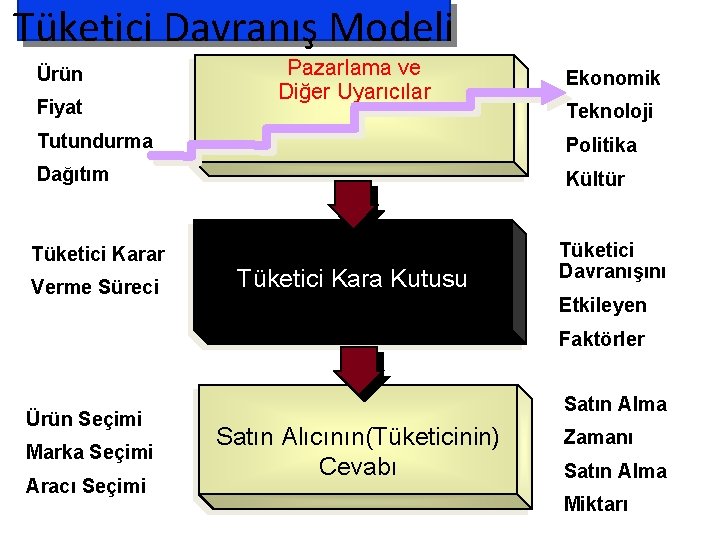 Tüketici Davranış Modeli Ürün Fiyat Pazarlama ve Diğer Uyarıcılar Ekonomik Teknoloji Tutundurma Politika Dağıtım