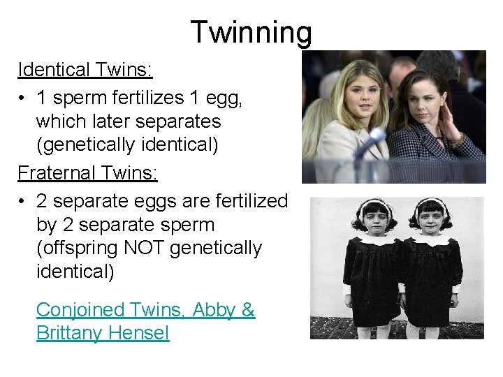 Twinning Identical Twins: • 1 sperm fertilizes 1 egg, which later separates (genetically identical)