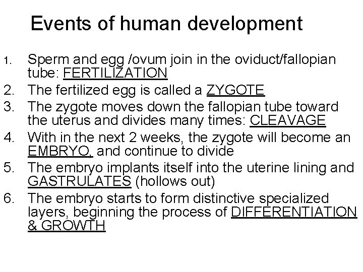 Events of human development 1. 2. 3. 4. 5. 6. Sperm and egg /ovum