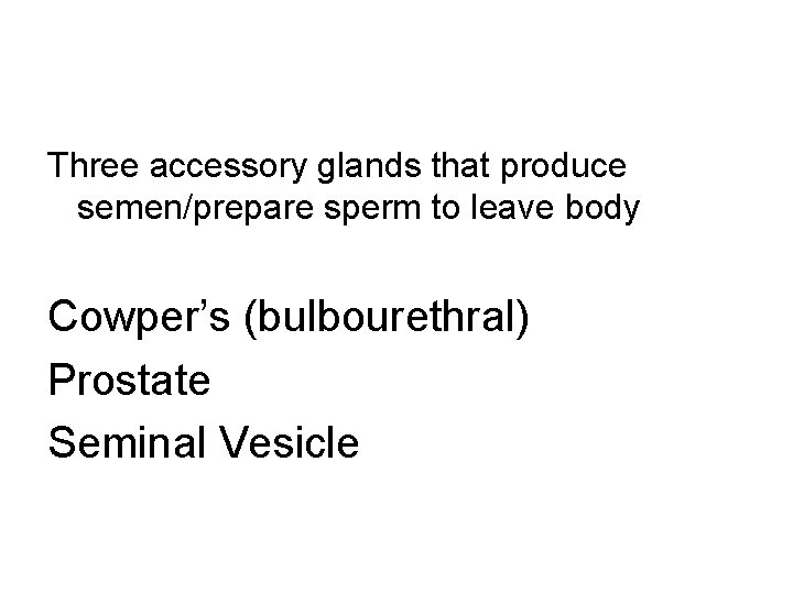 Three accessory glands that produce semen/prepare sperm to leave body Cowper’s (bulbourethral) Prostate Seminal