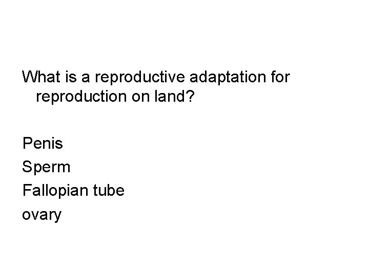 What is a reproductive adaptation for reproduction on land? Penis Sperm Fallopian tube ovary