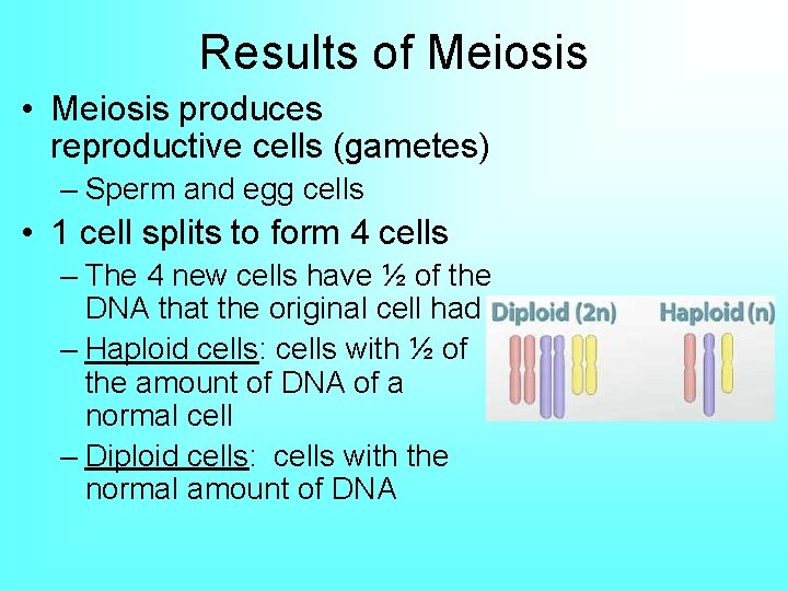 Results of Meiosis • Meiosis produces reproductive cells (gametes) – Sperm and egg cells