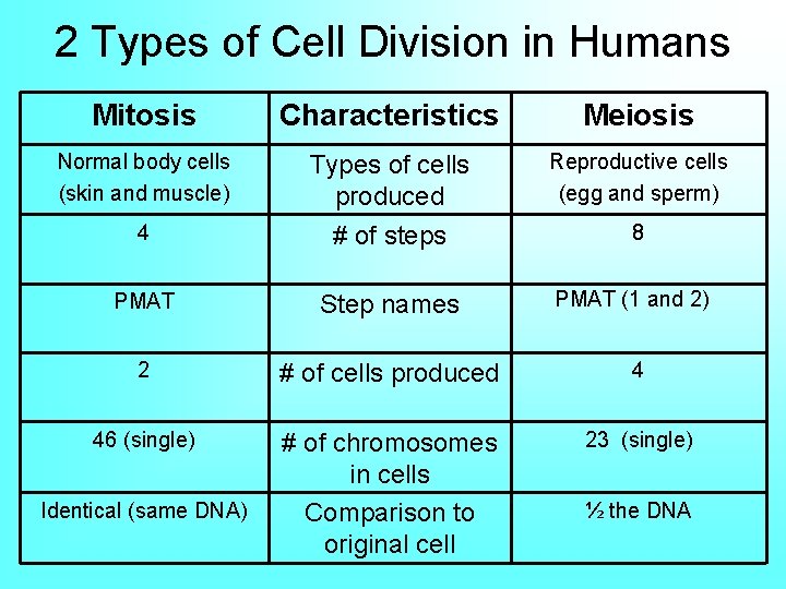 2 Types of Cell Division in Humans Mitosis Characteristics Meiosis Normal body cells (skin