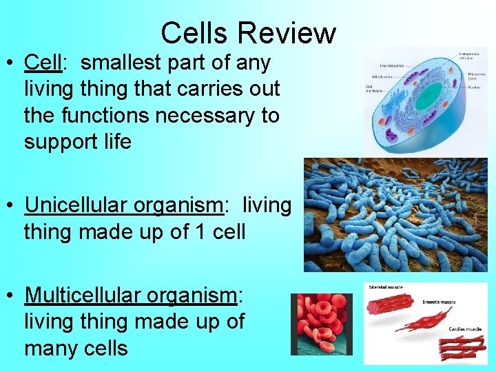 Cells Review • Cell: smallest part of any living that carries out the functions