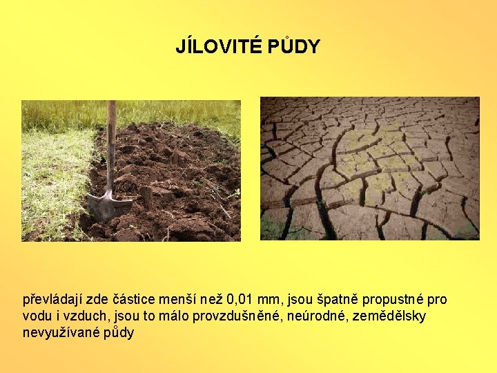 JÍLOVITÉ PŮDY převládají zde částice menší než 0, 01 mm, jsou špatně propustné pro