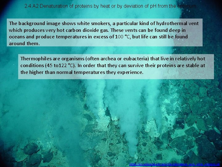 2. 4. A 2 Denaturation of proteins by heat or by deviation of p.