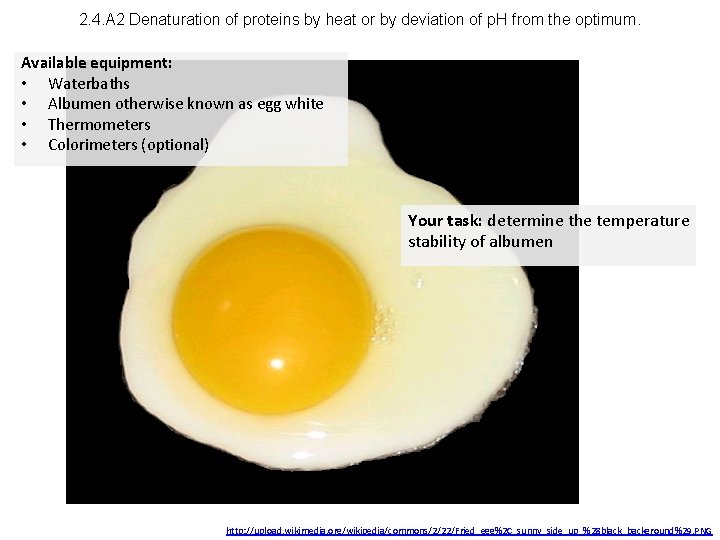 2. 4. A 2 Denaturation of proteins by heat or by deviation of p.