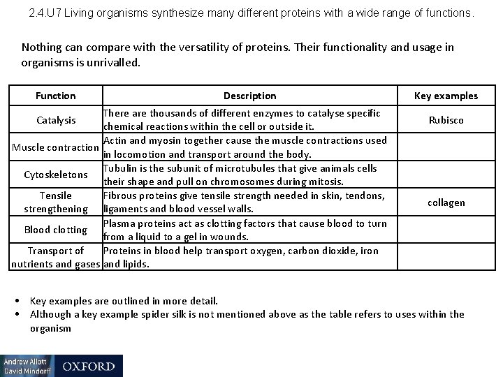 2. 4. U 7 Living organisms synthesize many different proteins with a wide range