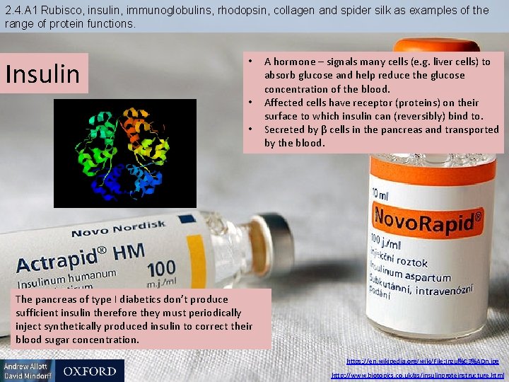 2. 4. A 1 Rubisco, insulin, immunoglobulins, rhodopsin, collagen and spider silk as examples