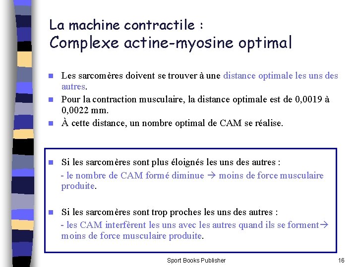 La machine contractile : Complexe actine-myosine optimal Les sarcomères doivent se trouver à une