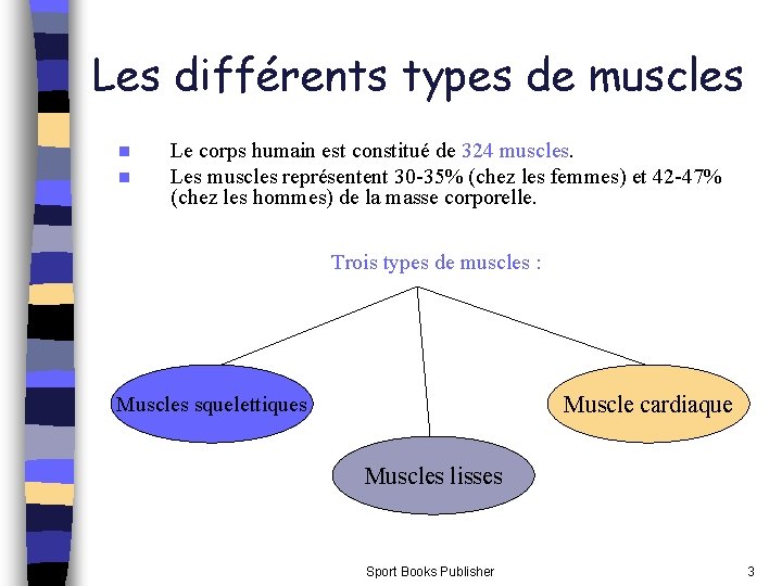 Les différents types de muscles n n Le corps humain est constitué de 324