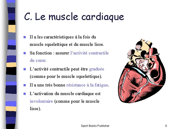 C. Le muscle cardiaque n Il a les caractéristiques à la fois du muscle
