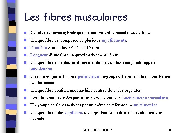Les fibres musculaires n Cellules de forme cylindrique qui composent le muscle squelettique n