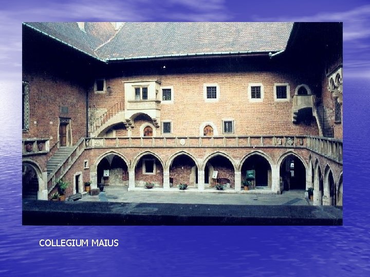 COLLEGIUM MAIUS 