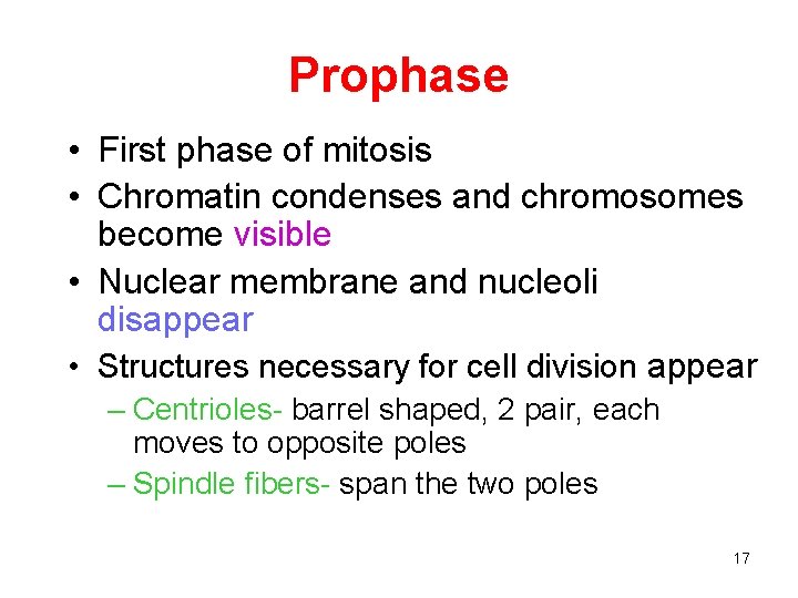 Prophase • First phase of mitosis • Chromatin condenses and chromosomes become visible •