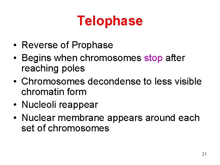 Telophase • Reverse of Prophase • Begins when chromosomes stop after reaching poles •