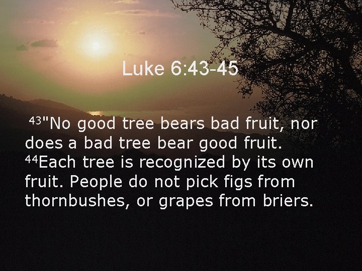 Luke 6: 43 -45 43"No good tree bears bad fruit, nor does a bad