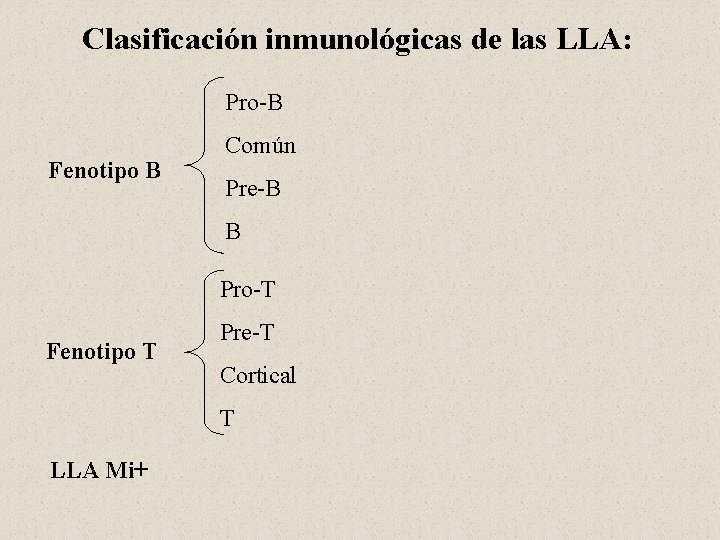 Clasificación inmunológicas de las LLA: Pro-B Fenotipo B Común Pre-B B Pro-T Fenotipo T