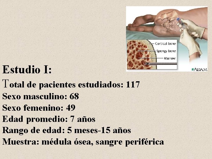 Estudio I: Total de pacientes estudiados: 117 Sexo masculino: 68 Sexo femenino: 49 Edad