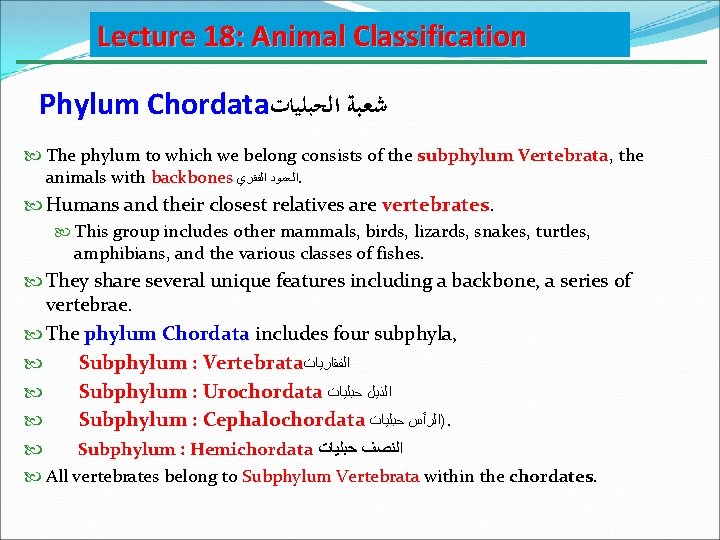 Lecture 18: Animal Classification Phylum Chordata ﺷﻌﺒﺔ ﺍﻟﺤﺒﻠﻴﺎﺕ The phylum to which we belong