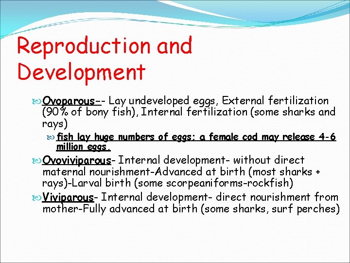 Reproduction and Development Ovoparous-- Lay undeveloped eggs, External fertilization (90% of bony fish), Internal