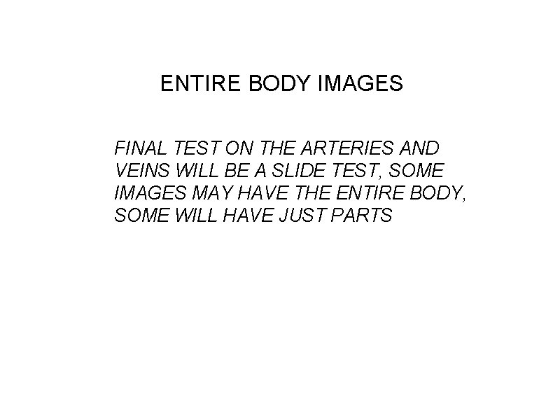 ENTIRE BODY IMAGES FINAL TEST ON THE ARTERIES AND VEINS WILL BE A SLIDE