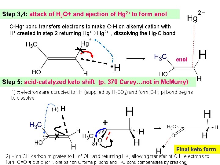 Step 3, 4: attack of H 3 O+ and ejection of Hg 2+ to
