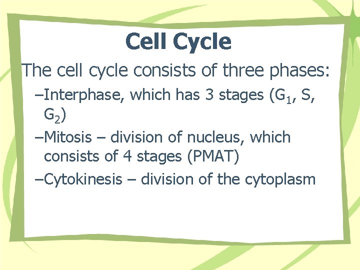 Cell Cycle The cell cycle consists of three phases: –Interphase, which has 3 stages