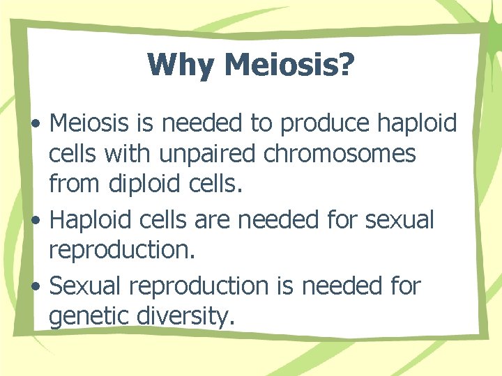 Why Meiosis? • Meiosis is needed to produce haploid cells with unpaired chromosomes from