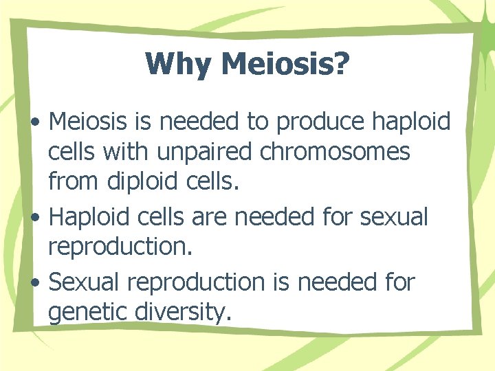 Why Meiosis? • Meiosis is needed to produce haploid cells with unpaired chromosomes from