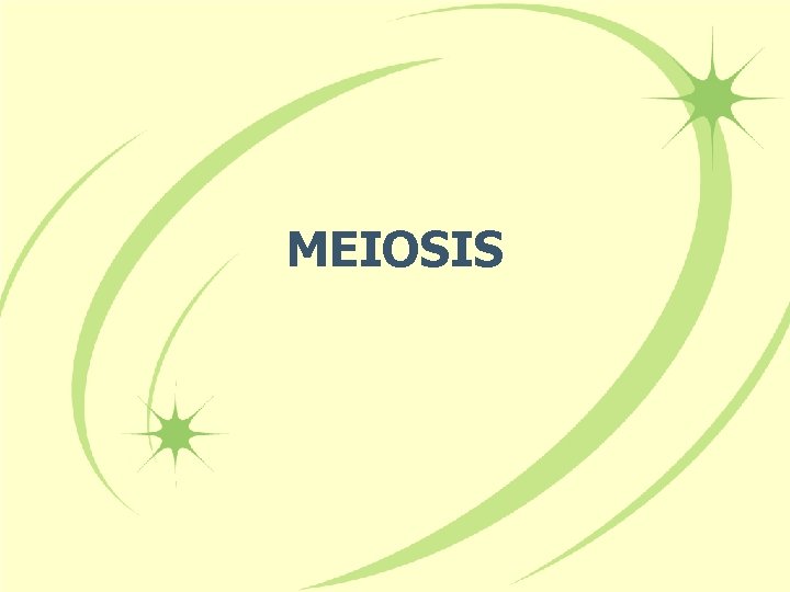 MEIOSIS 