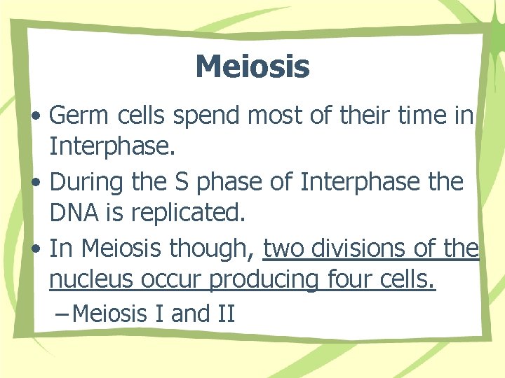 Meiosis • Germ cells spend most of their time in Interphase. • During the