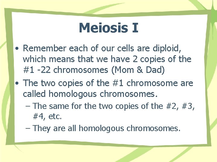 Meiosis I • Remember each of our cells are diploid, which means that we