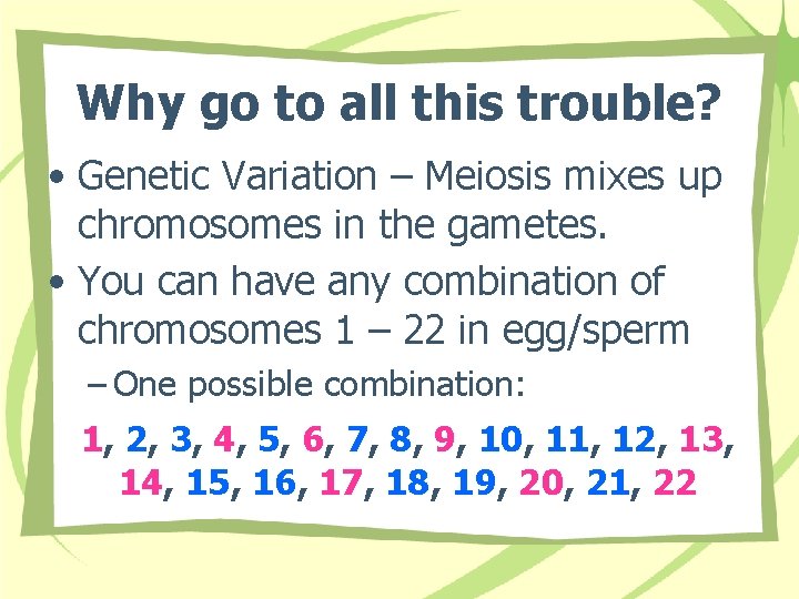 Why go to all this trouble? • Genetic Variation – Meiosis mixes up chromosomes